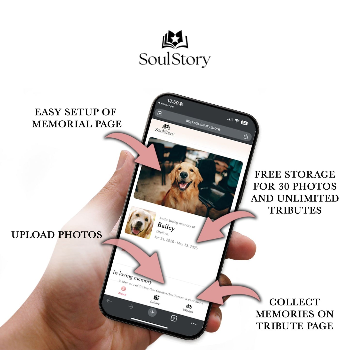 SoulStory Pet Memorial Kit + FREE Memorial Gemstone